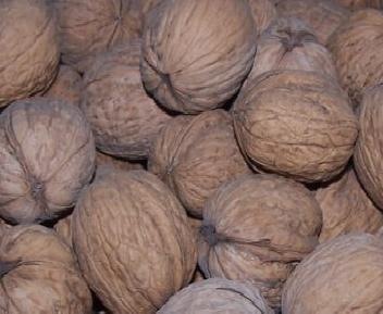 ALSÓSZENTIVÁNI 117 dió